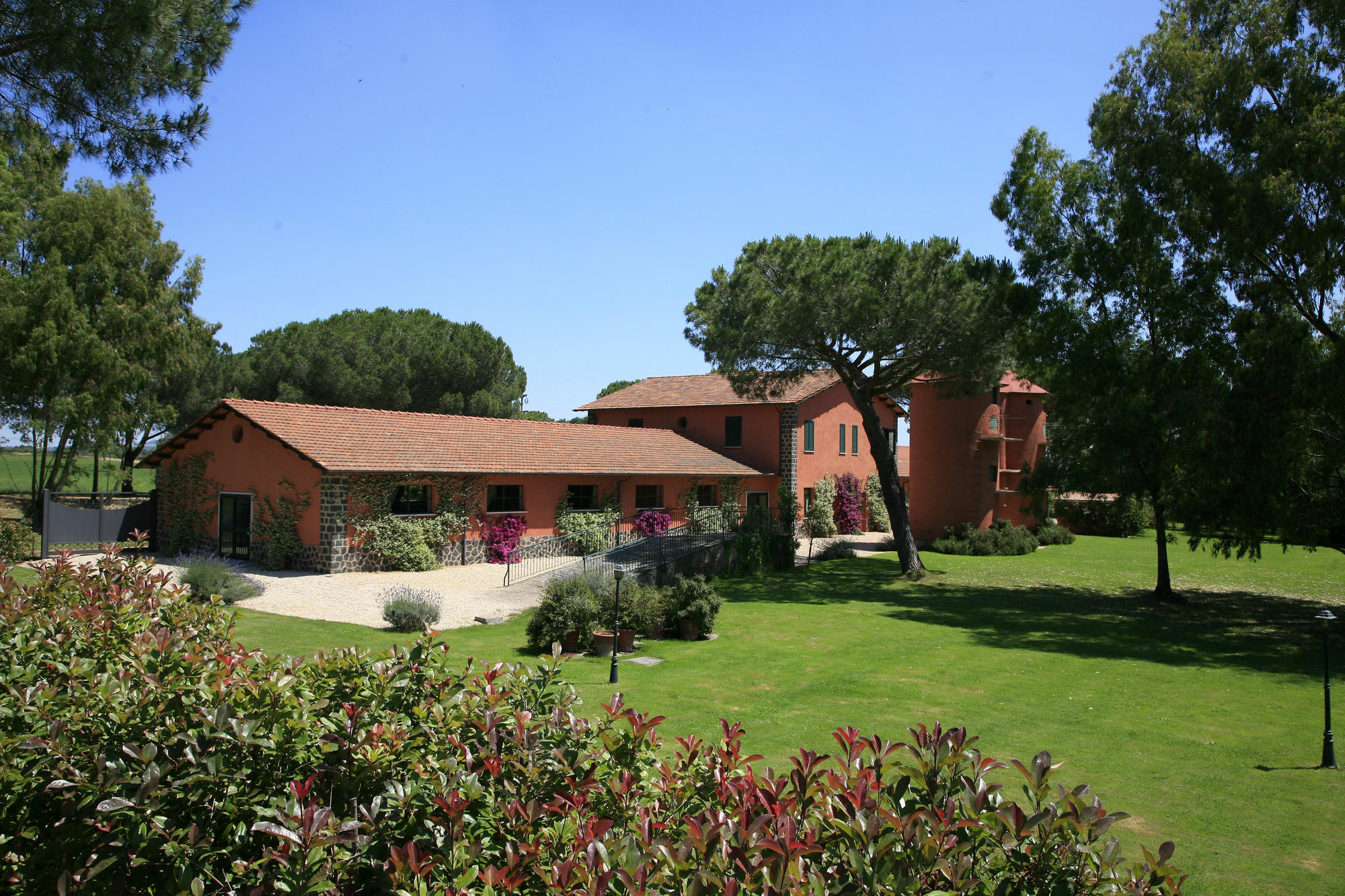 Riserva Dell'olmo * Rom